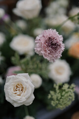 Conceptual decoration for special event. Gathering. Family dinner. Private party. Celebration. Table flower. Long table. Table Setting. With drop light. Outdoors. Details. 