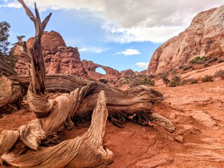 Arches National Park in Moab Utah 