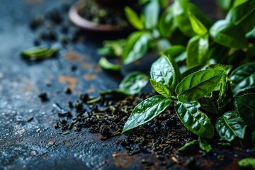Herbal tea background. Various tea leaves and flowers shot from above on old rustic wooden table.