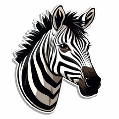 Fototapeta na wymiar zebra, animal, mammal, white, black, wildlife, wild, stripes, safari, nature, zoo, striped, head, horse, portrait, isolated, grass, pattern, park, mane, herbivore
