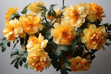 Yellow flowers bouquets set on a white background