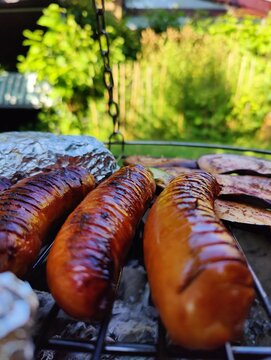 Barbecue in the garden