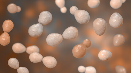 Histoplasma capsulatum yeasts, 3D illustration - obrazy, fototapety, plakaty