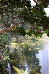 冬の浜離宮恩賜庭園あたり