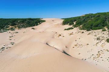 Fototapete Strand Bolonia, Tarifa, Spanien View from above of seascape with sandy Dune and pine forest. Playa Bolonia. Duna de Bolonia. Spain, Europe