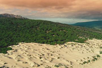 View from above of seascape with sandy Dune and pine forest. Playa Bolonia. Duna de Bolonia. Spain, Europe