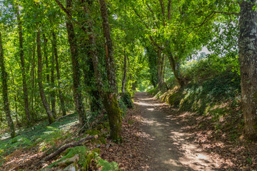 Fototapeta na wymiar Landscape along the Camino de Santiago trail