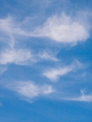 Beautiful blue sky dotted with white clouds