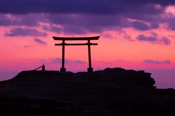 Fotobehang 薄いピンクの朝焼けと鳥居 © Masato Photography