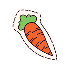 Kawaii sticker of colorful set. This sticker-style carrot illustration on a clean white background is perfect for adding a fresh and playful touch to your designs. Vector illustration.