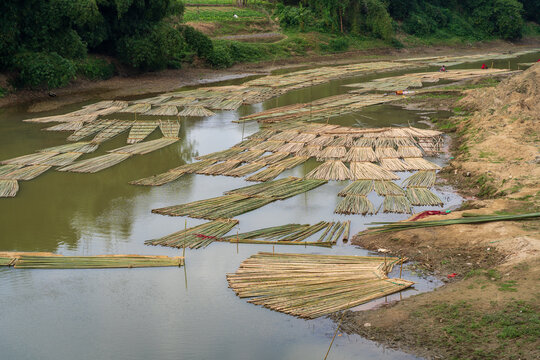 Landscape view of rafts of bamboo transported on river, Rangamati, Bangladesh