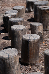 stumps of wood