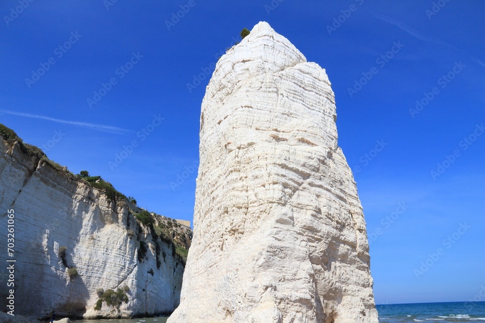 Canvas Prints Pizzomunno rock in Vieste, Italy