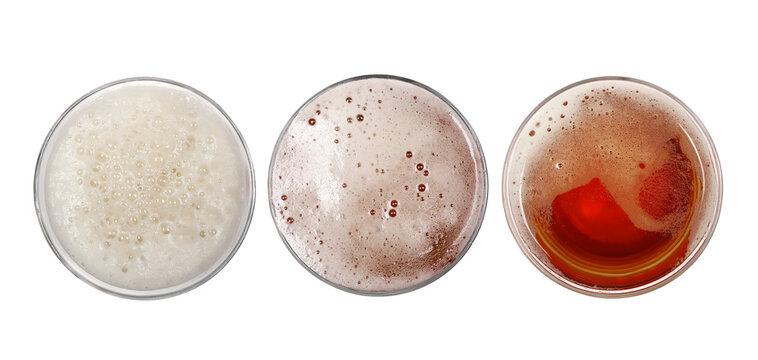 Set glass of beer with bubble isolated on white, top view