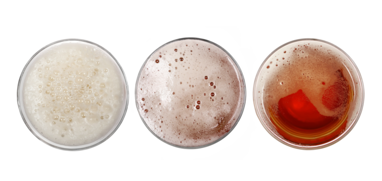 Set glass of beer with bubble isolated on white, top view