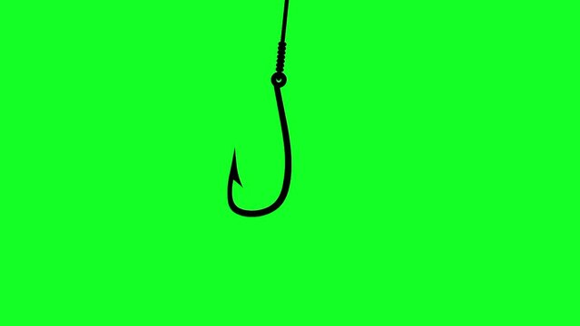 Fishing hook animation with green screen background. Fish catching animation. The lowered fishing hook is black.