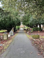Footpath in the cemetery with trees overhanging
