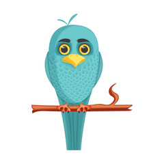A funny owl, a feathered animal sits on a tree branch and watches something with bulging eyes. Vector illustration on a white background. Cartoon style.
