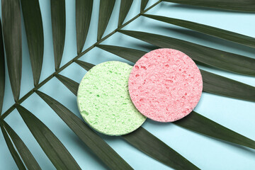 Maqkeup sponges with green palm leaf on blue background. Creative layout of beauty and fashion still life