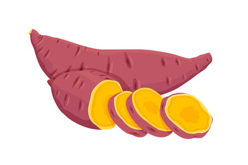 Sweet Potato vector. Sweet Potato on white background.