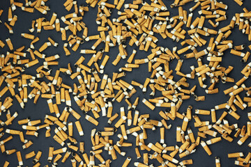 Many smoked cigarettes on a gray background. Smoking can be harmful to your health. Passion for...