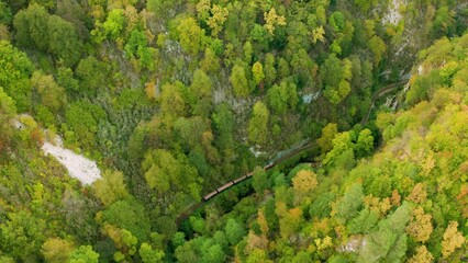 A Tourist Train with Tourists Travels along a Narrow-gauge Railway through a Mountain Gorge...