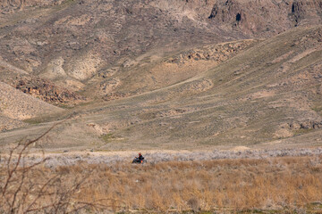 A motorcyclist rides on a wheelie. Mountain, cross-country motorcycle on the rear wheel. Extreme...