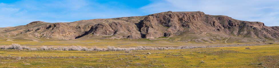 Steppe in Kazakhstan. Almaty, Central Asia. Landscape in the Ili River Valley.
