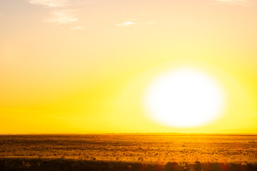 View of the sun early in the morning at sunrise. Autumn, dry grass and huge sun.