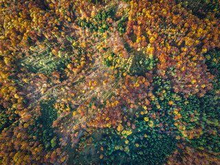 Obraz na płótnie Canvas Lot nad Górami Leluchowskimi jesienią. Las w Paśmie Kraczonika.