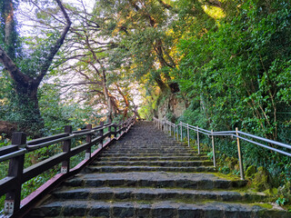 It is a forest with uphill stairs.