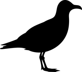 Seagull silhouette icon in black color. Vector template design.