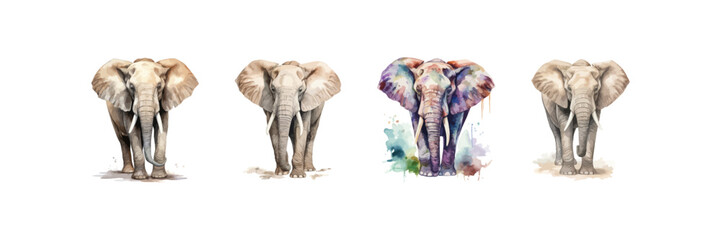 Watercolor elephant set. Vector illustration design.