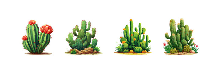 Cactus set. Vector illustration design.