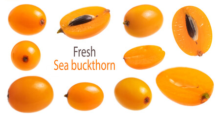 Sea buckthorn and half sea buckthorn isolated on the white. Collection.
