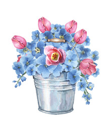 Bouquet of blue flowers and pink tulips in a bucket. Watercolor illustration isolated on white background.