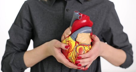 Woman hand holds open model of human heart on body. Problem and treatment of cardiac diseases