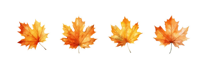 Watercolor autumn leaf set. Vector illustration design.