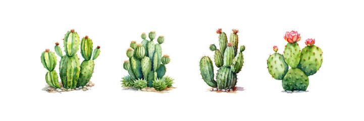 Watercolor cactus set. Vector illustration design.