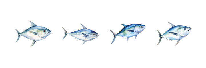 Watercolor tuna fish set.  Vector illustration design.