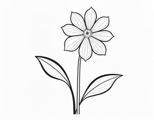 Fototapeta na wymiar flower with leaf for coloring book