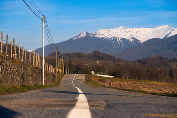A road path with continuous lane making line and scenery of French viticulture and leafless trees with mountain alps cover with snow during winter in background, sunny bright blue sky - obrazy, fototapety, plakaty