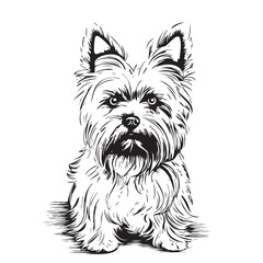 Cute yorkshire terrier dog sketch hand drawn in graphics Animals pets Vector illustration