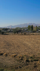 Uzbekistan east mausoleum mountains color national local cuisine sheep bulls train nature landscape reservoir blue
