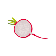 Radish isolated on a white background. Delicious ripe radish with leaves. Flat style, cartoon design