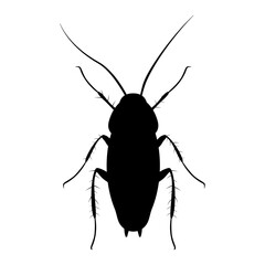 Pest Control insect black silhouette set, insect icons isolated on white, flat style