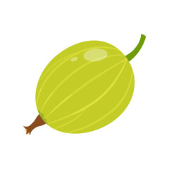 Fruits of gooseberry, garden plant, flat design. Vector illustration.