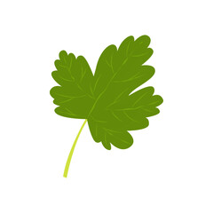 Fruits of gooseberry, garden plant, flat design. Vector illustration.