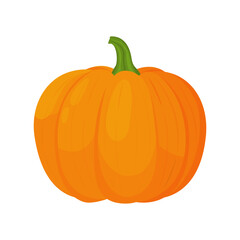 Pumpkin isolated on white background. Delicious ripe pumpkin whole and cut into pieces with seeds, flat style, vegetables cartoon design