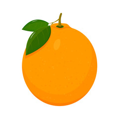 Ripe orange isolated on white background. Whole juicy fruit, flat style, vegetables cartoon design